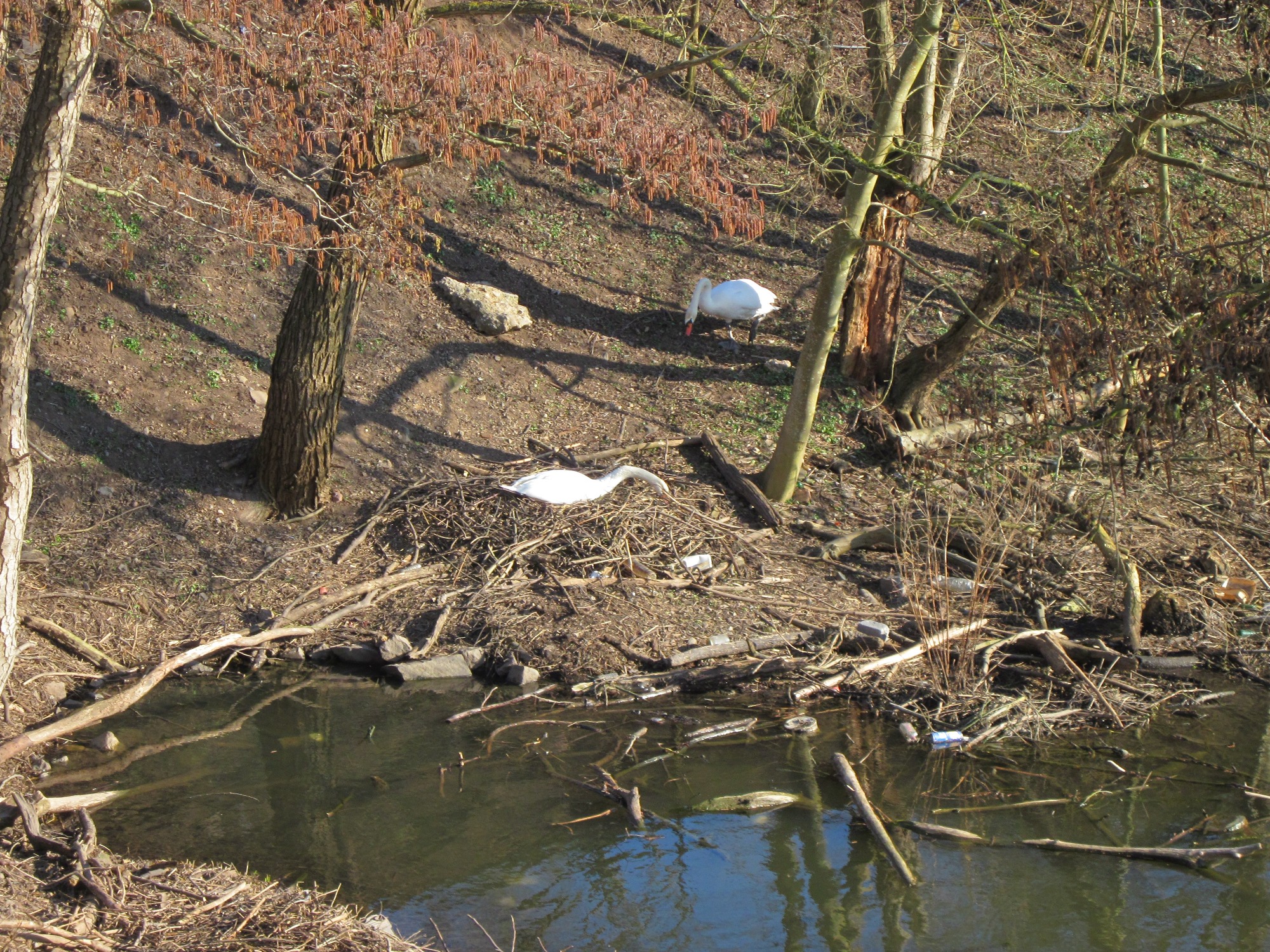 20130401Osthafen Saarbruecken