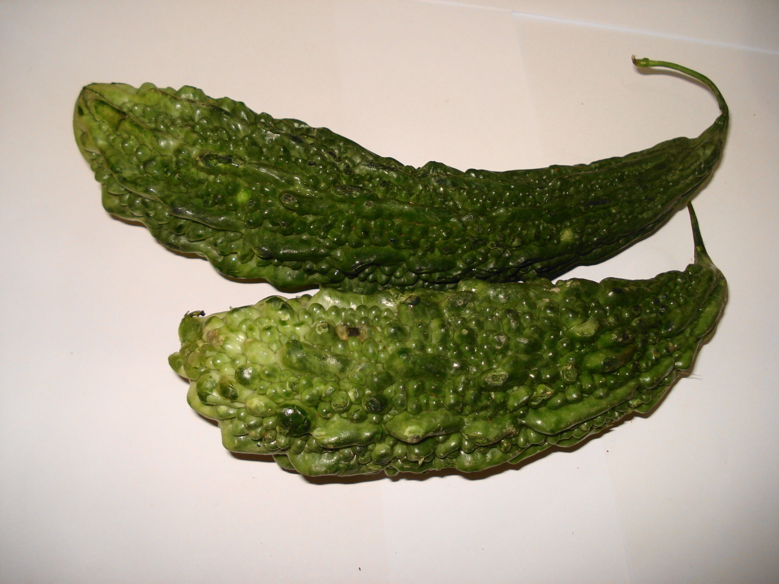 Bitter Gourd