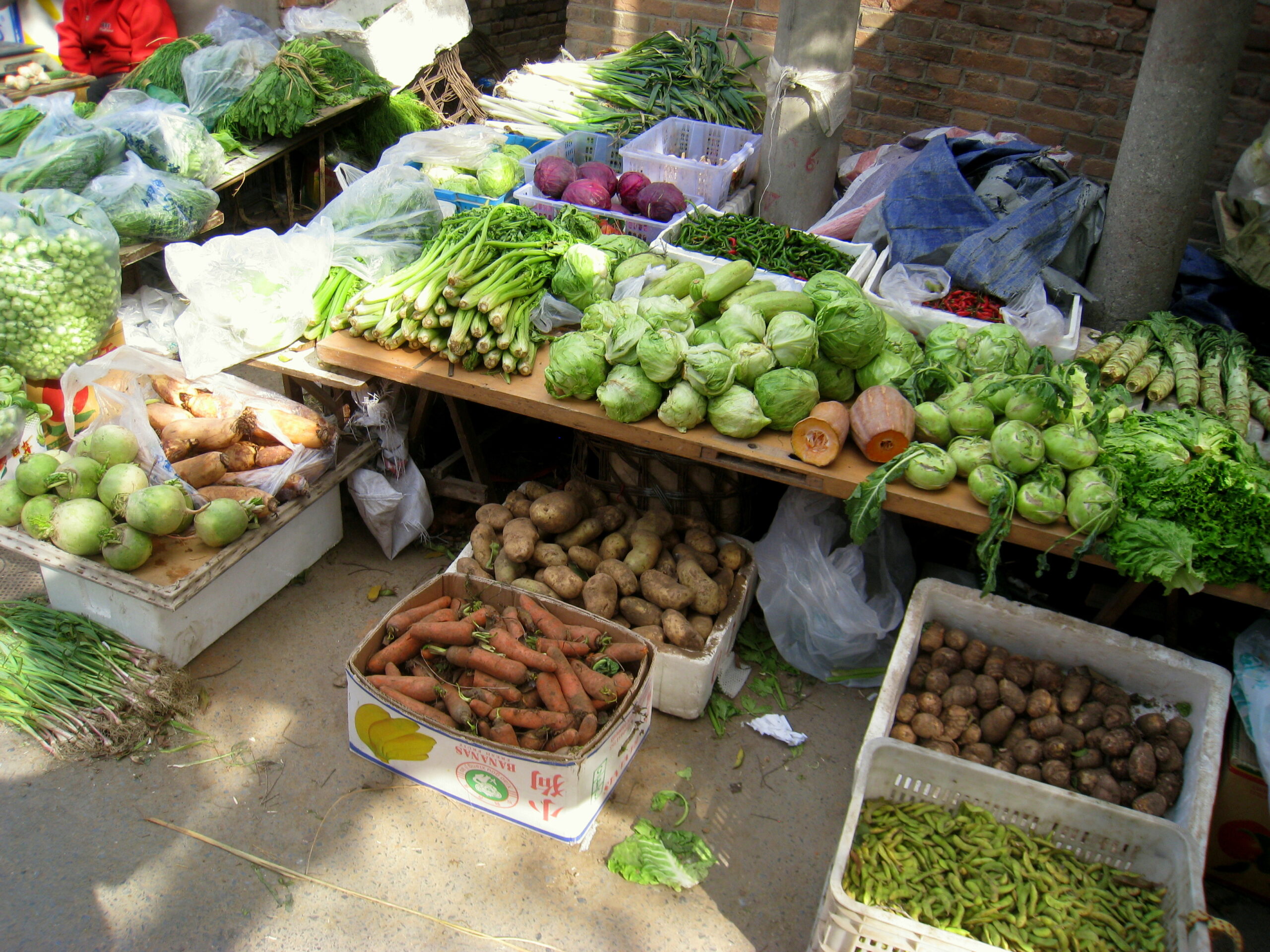 Dahuisi South Road, Beijing - IMG 0992