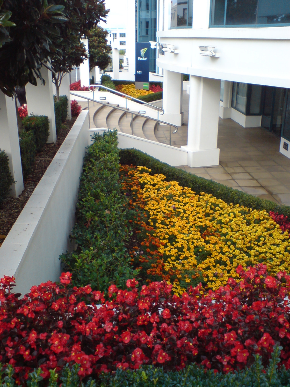 Flower Beds Somewhere In Newmarket