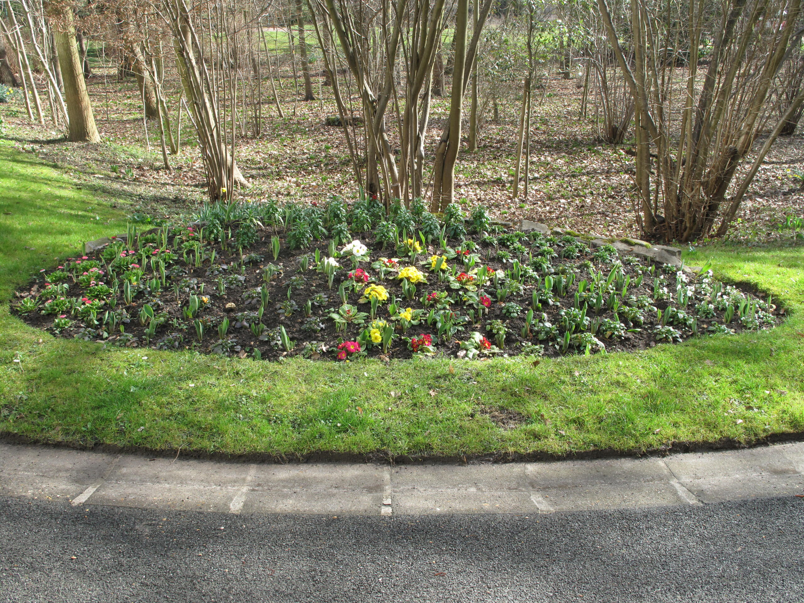 Flower bed (Vaires) D1303a