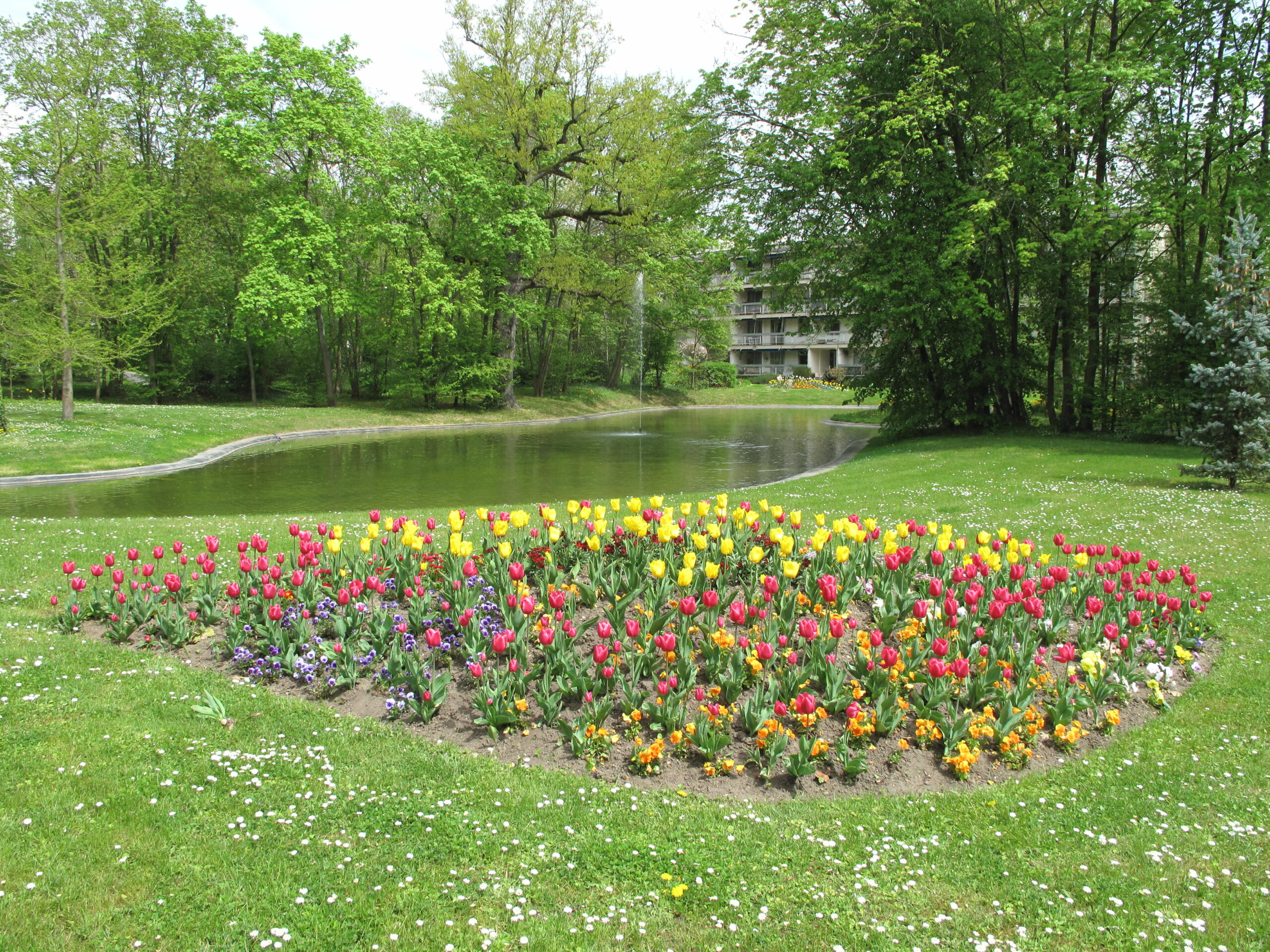 Flower bed near the pond of the parc de l'Aulnaye