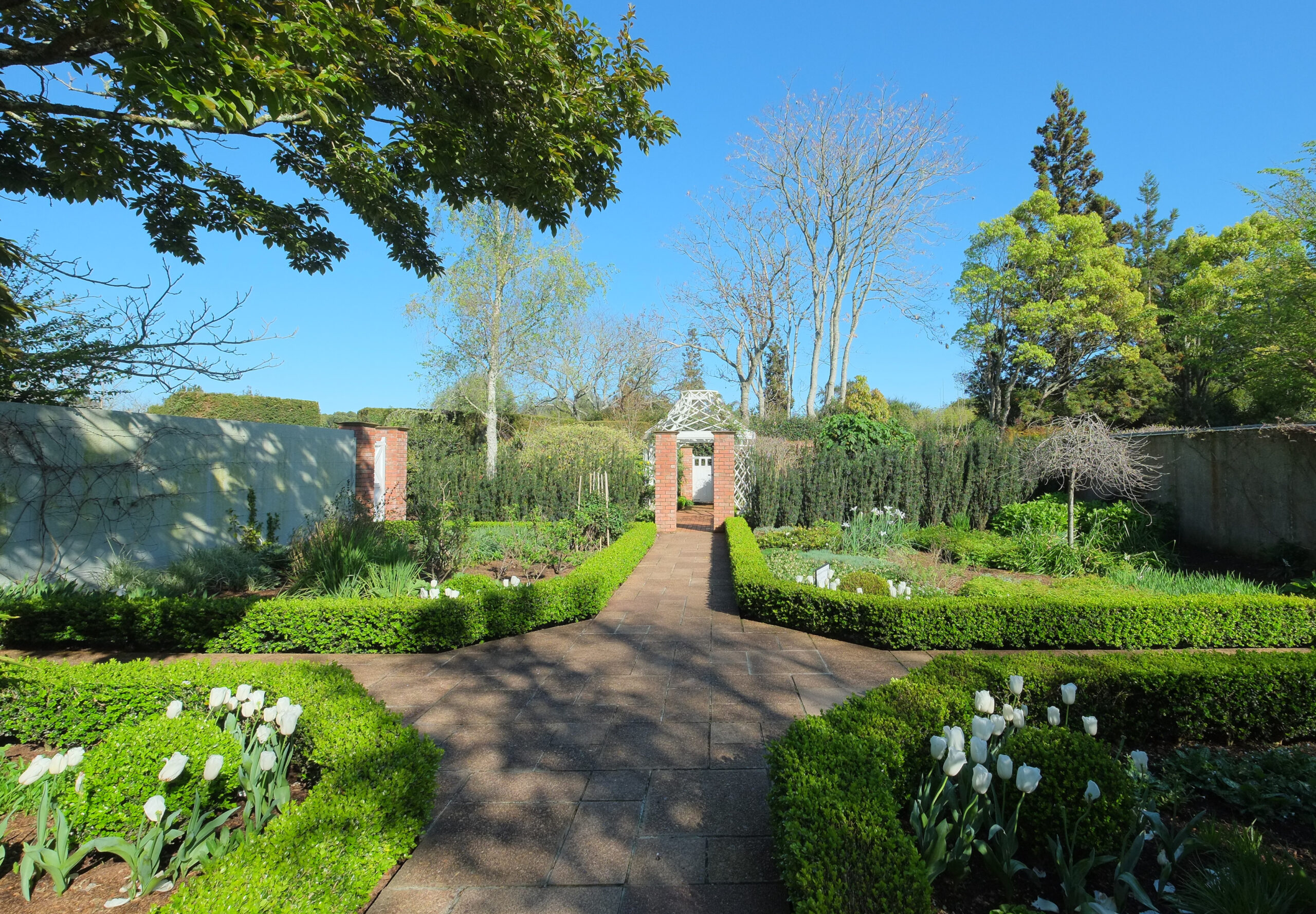 Flower beds in English Flower Garden of Hamilton Gardens