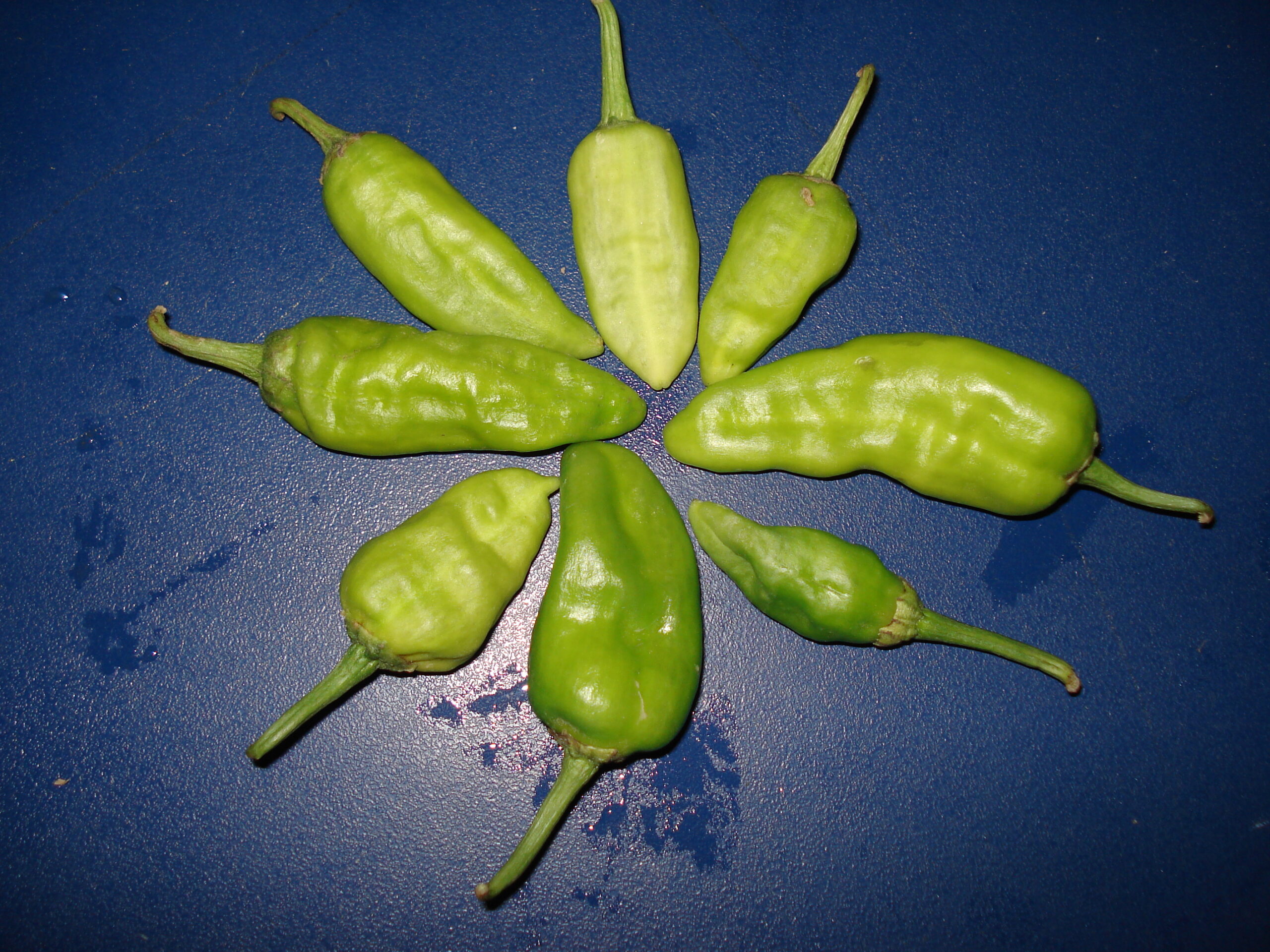 Green Chilli Mild