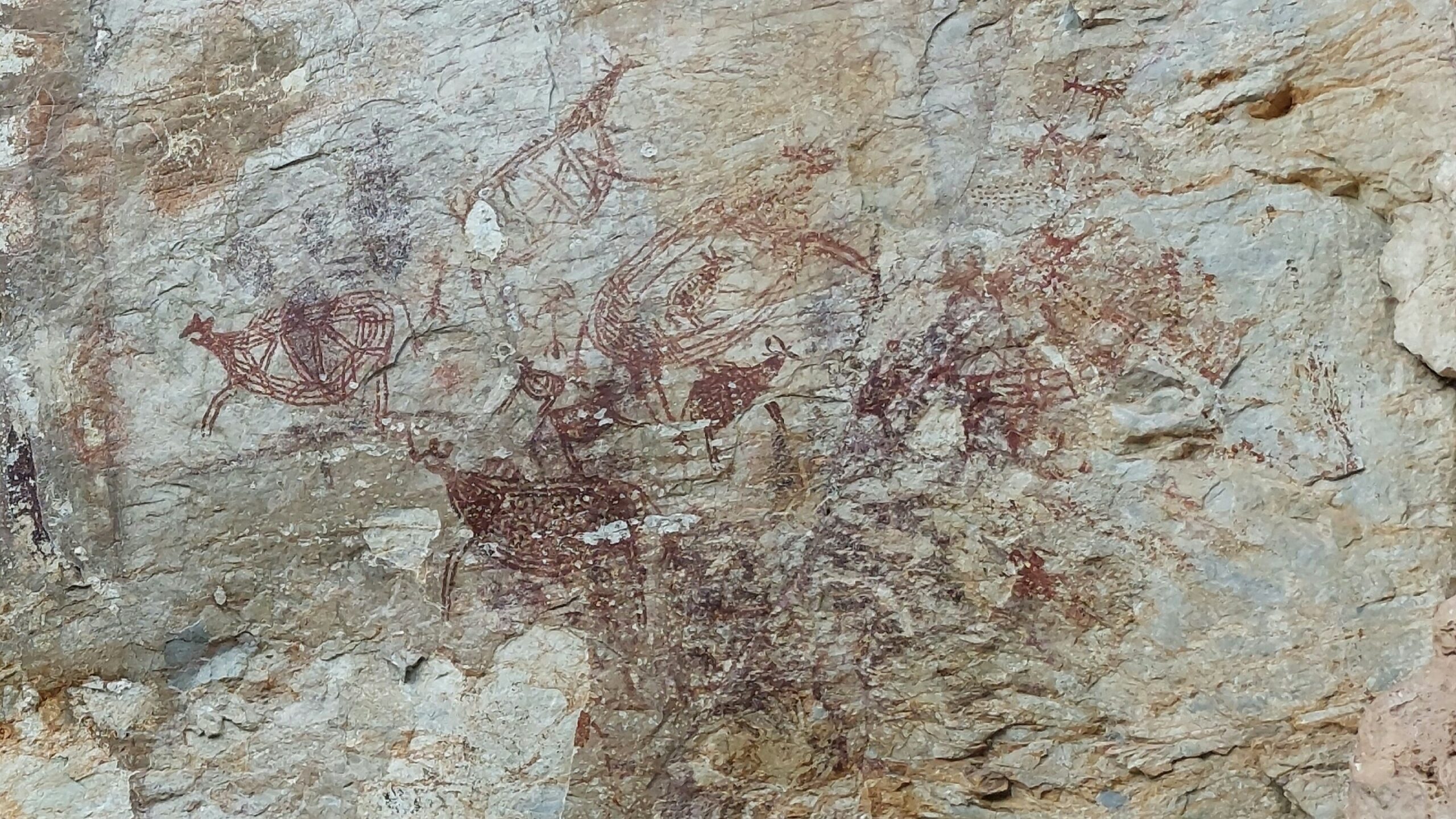 Gua Tambun Animal Herd