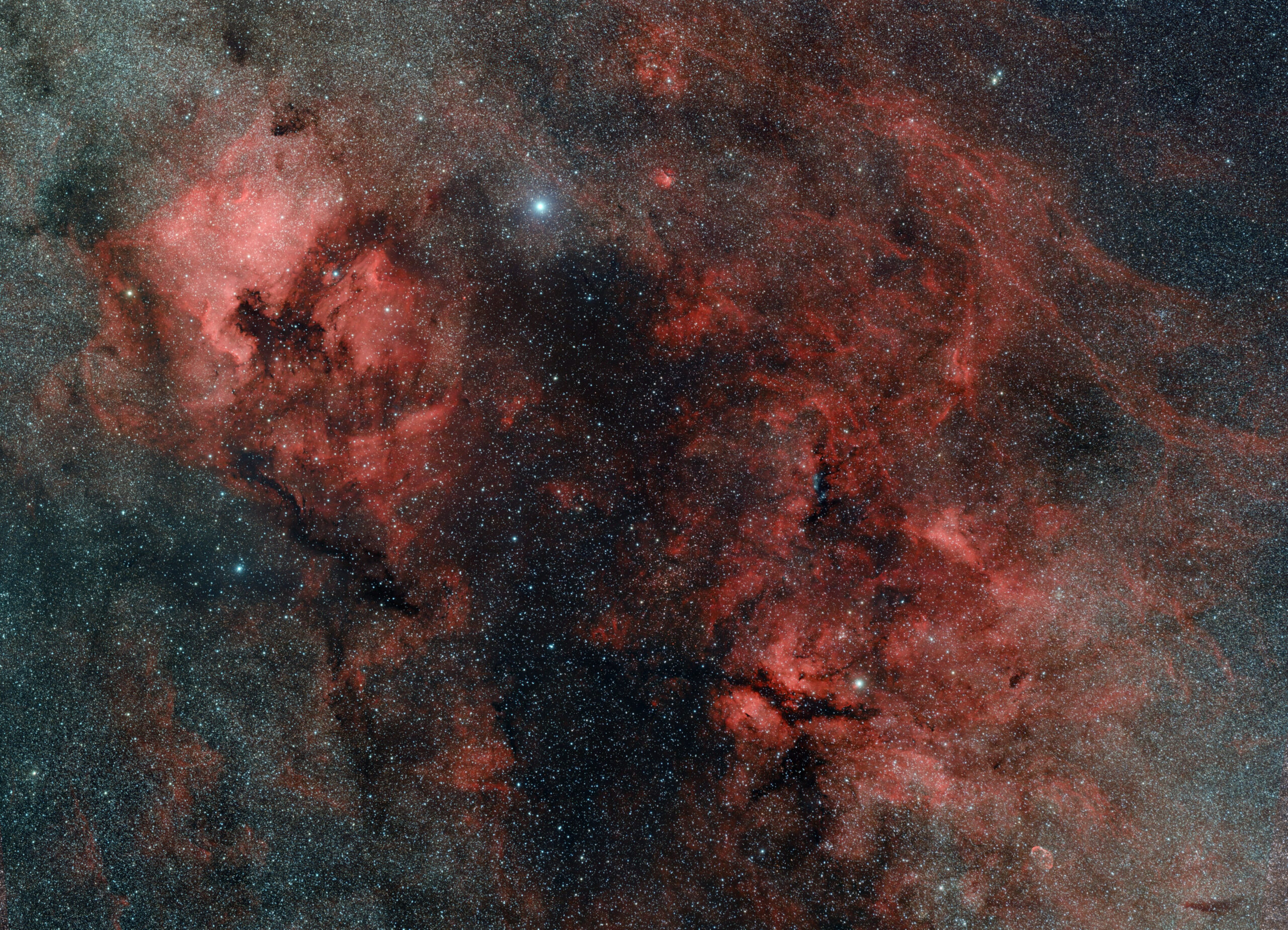 Inside Cygnus (Giuseppe Donatiello)