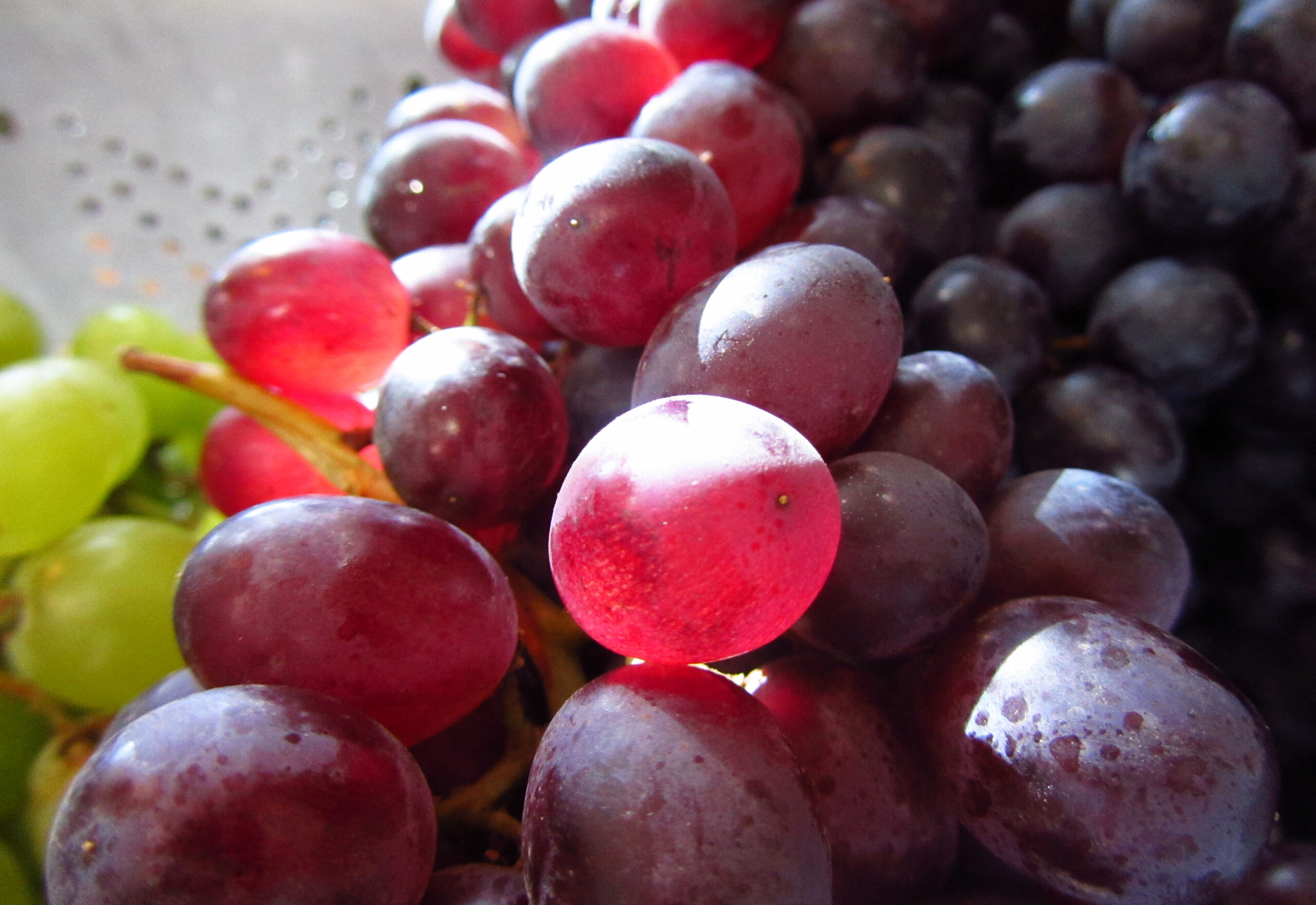 Red and green grapes