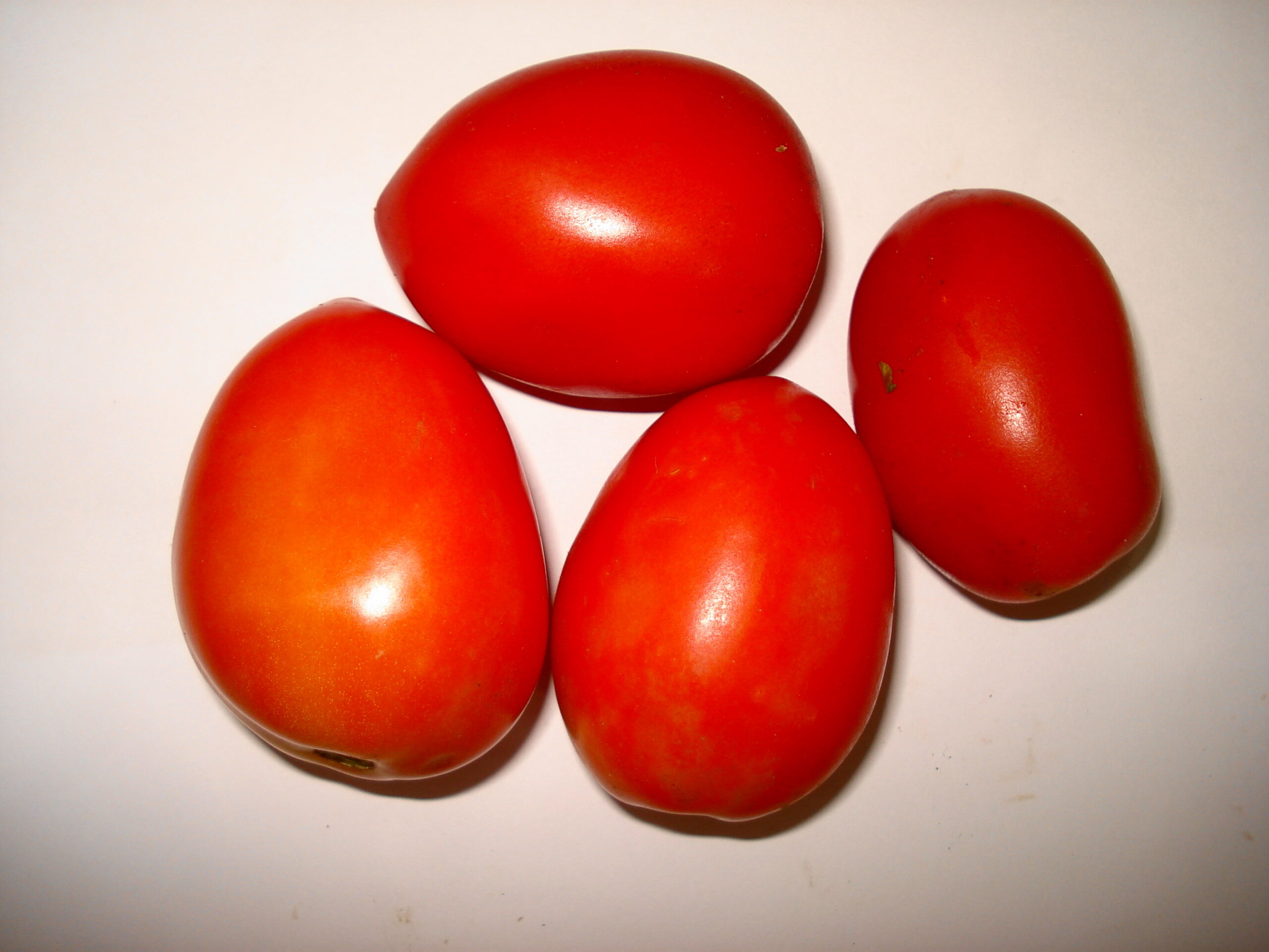 Tomato