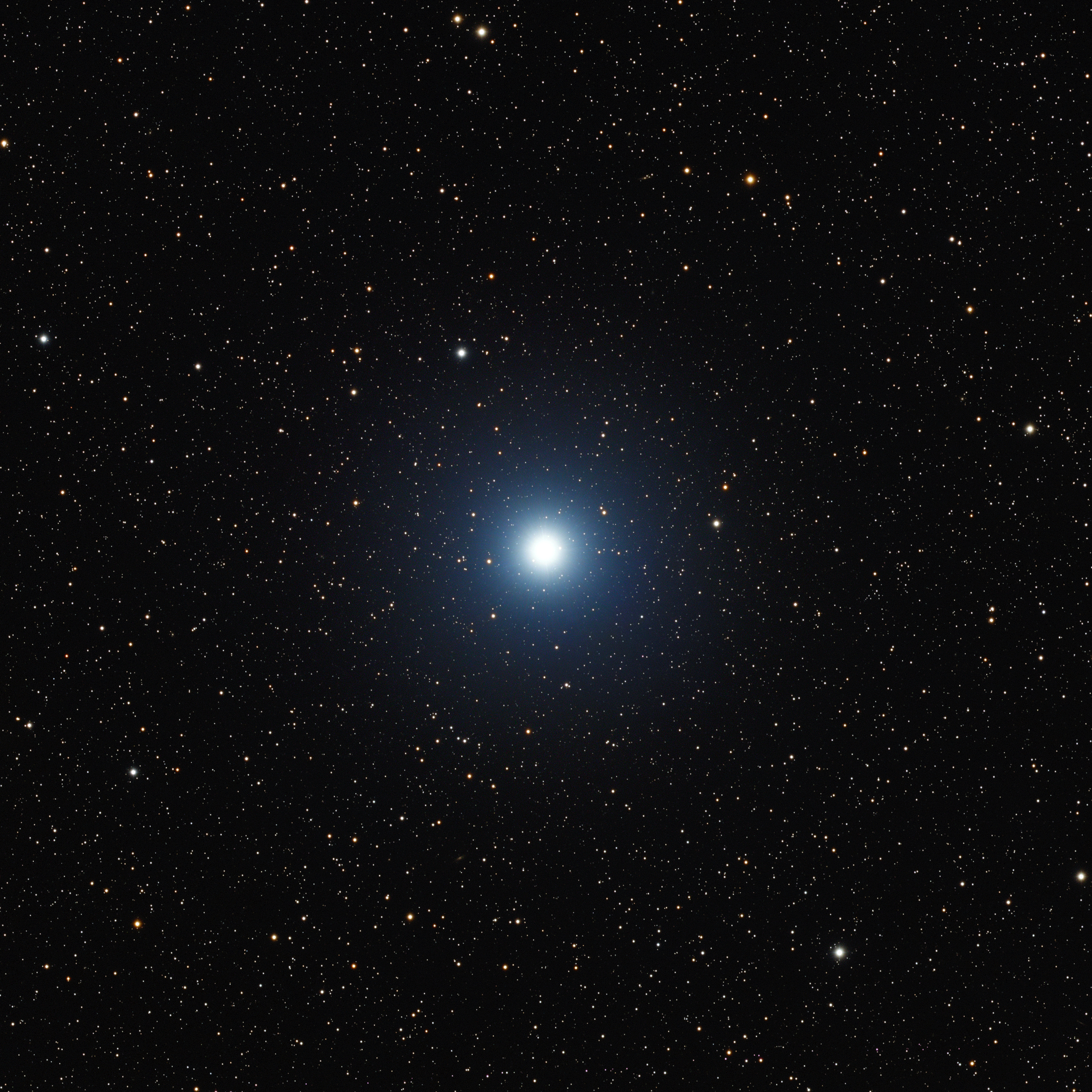 Vega (55196444951)