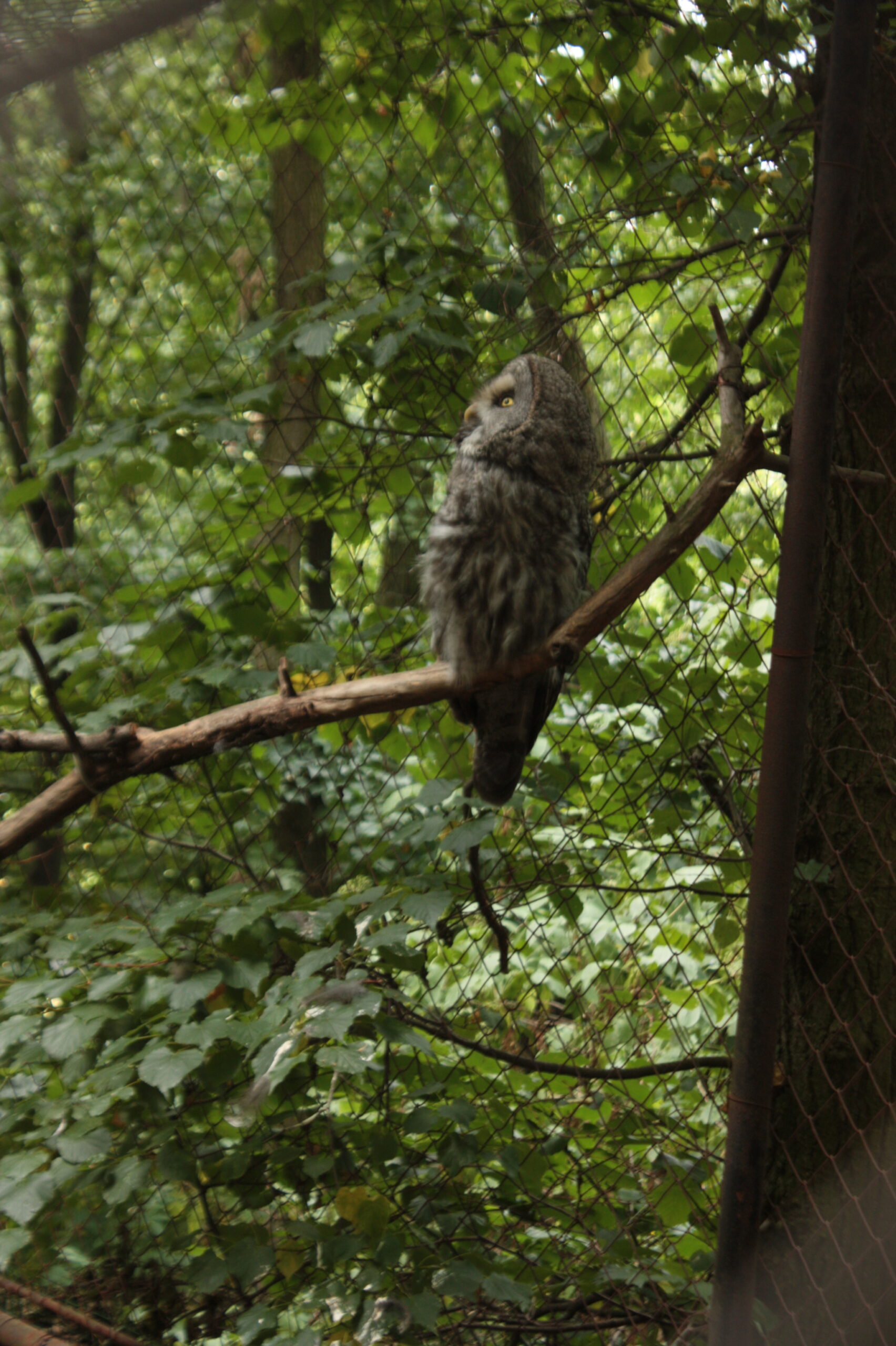 Zoo Brno 789