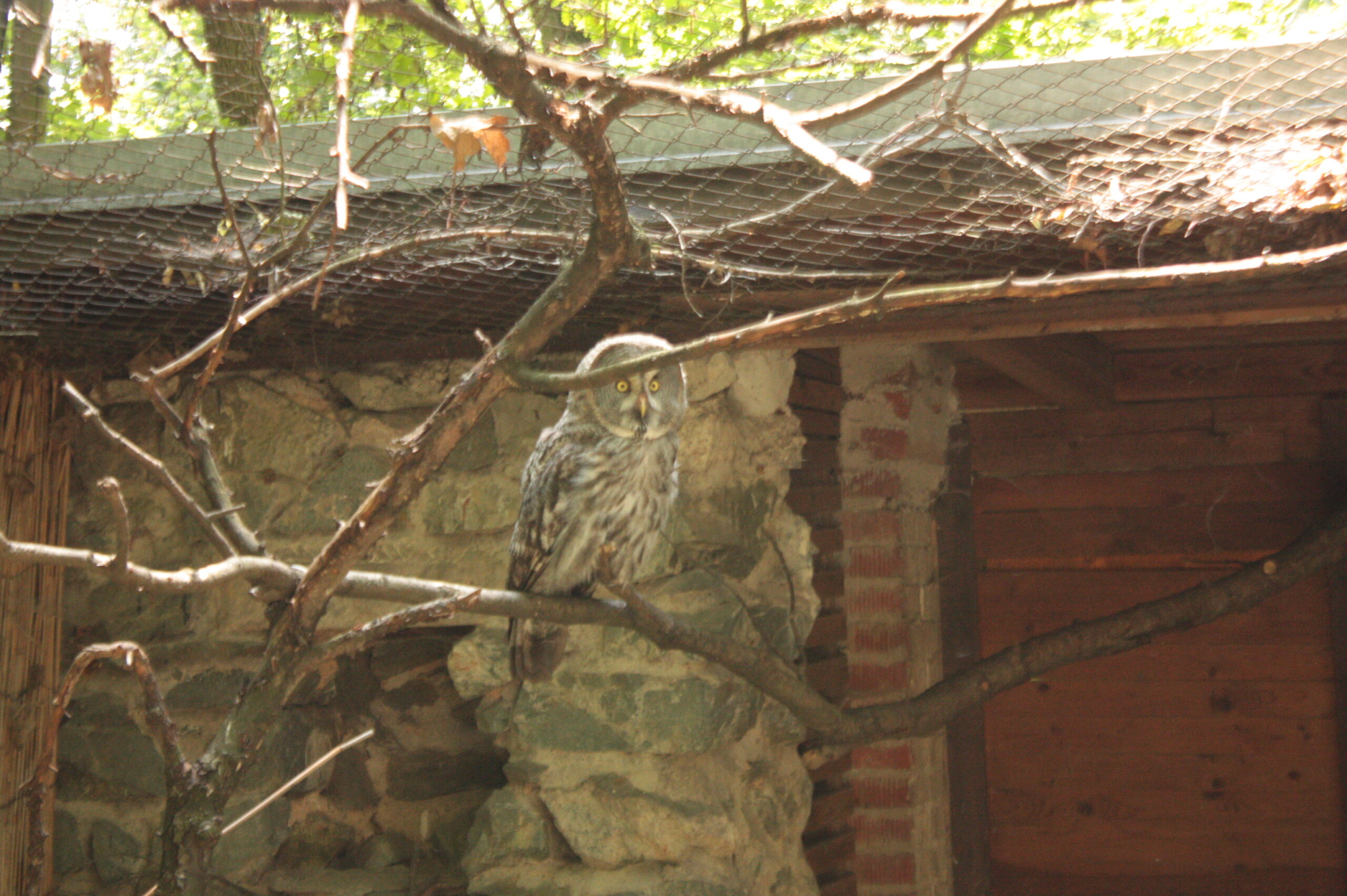 Zoo Brno 800